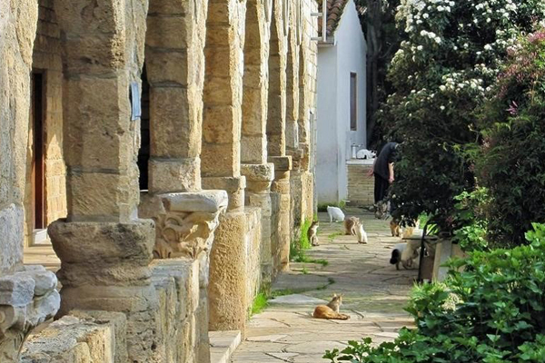 Monastery of Agios Nicholas of the Cats, Akrotiri Source: allaboutlimassol